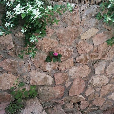 Panoramica Flat Apartment Porto Santo Stefano  Exterior photo