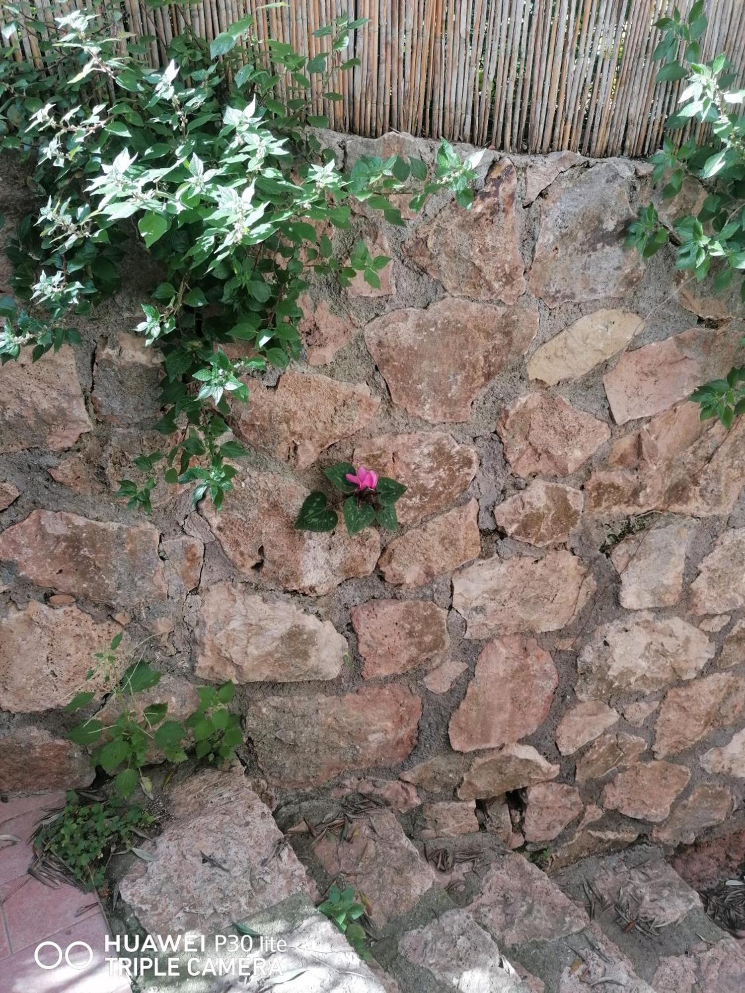 Panoramica Flat Apartment Porto Santo Stefano  Exterior photo